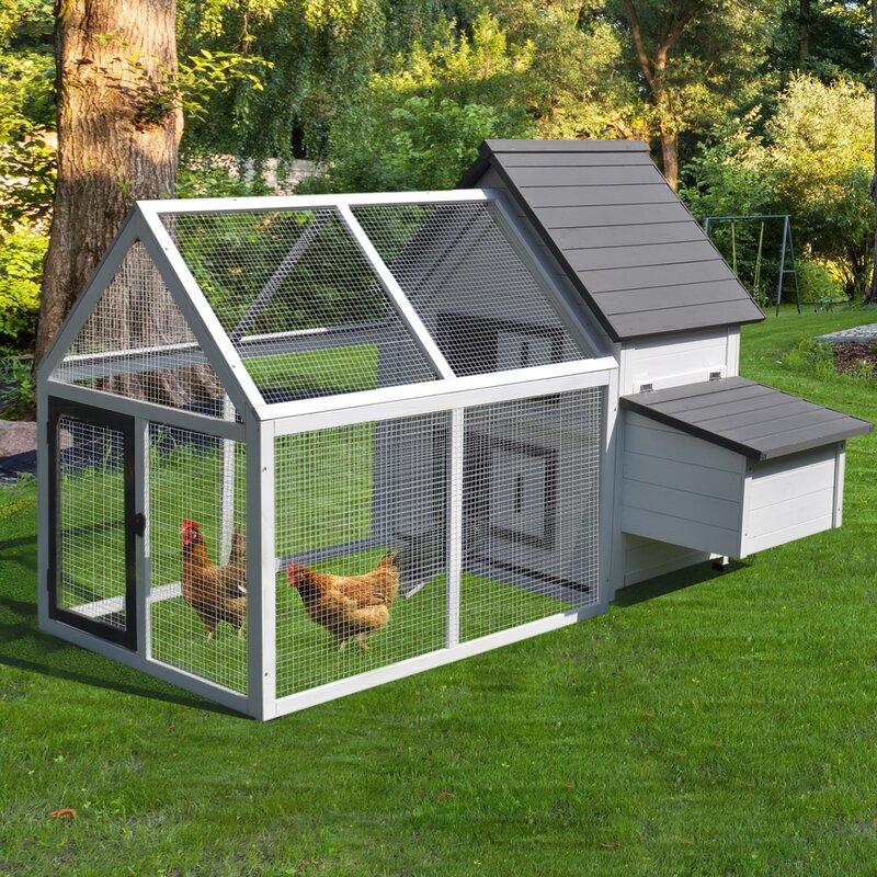 【Home&Garden】【BS】Camas Chicken Coop with Chicken Run For Up To 3 Chickens